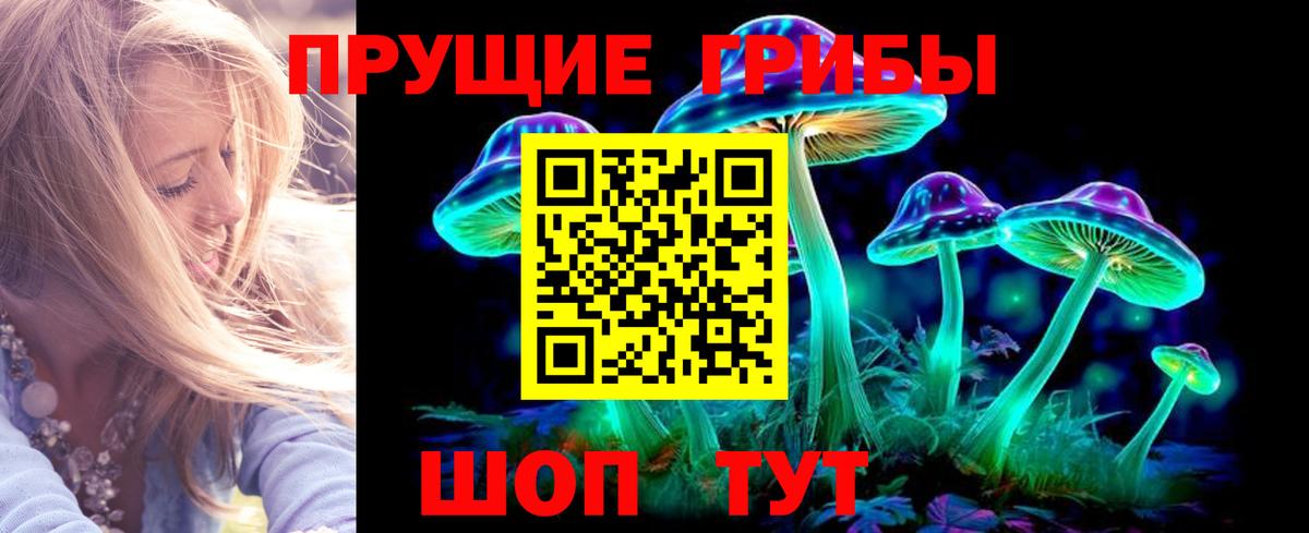 Псилоцибиновые грибы мицелий Качканар